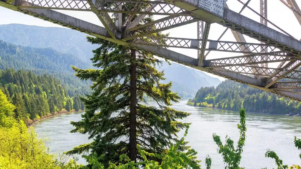 Columbia River Gorge with evergreen forest and bridge